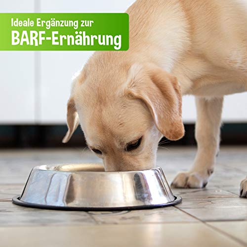 Schecker Nassfutter - Gemüse PUR - grün - getreidefreies Hundefutter - 12 x 410 g - kalorienarm - Diätfutter - Schonkost