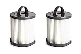 Green Label Brand 2 Pack Replacement HEPA Filter DCF-21 for Eureka and Sanitaire Air Speed Bagless Upright Vacuum Cleaners (Compares to 67821, 68931, 68931A, EF91, EF-91, EF-91B)