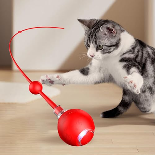 Balle mobile pour chat : la solution contre l'ennui et le manque d'exercice des félins - 4