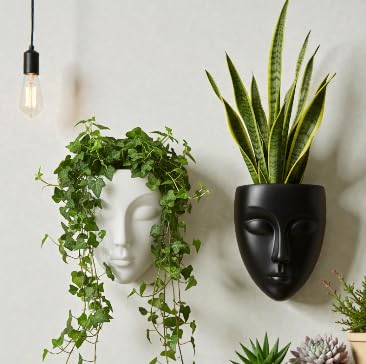 Image of Wall Mounted Face Planter Set, Black and White, Decorative Indoor Plant Holder, Modern Home Decor, 2 Pieces (Plastic)