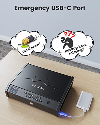 Biometric Gun Safe for Pistols