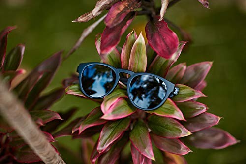 Dragon Opus Round Sunglasses, Matte Black/Ll Smoke, 51 mm3