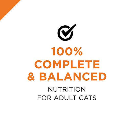 Purina Pro Plan Wet Cat Food Variety Pack - Image 10