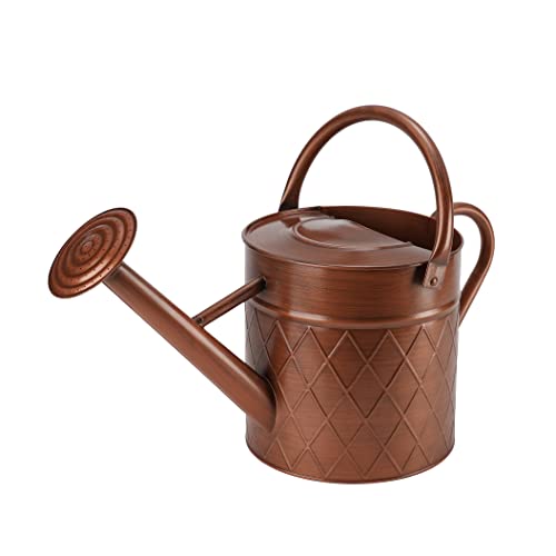 BLstyle 1.75 Gallon Outdoor Metal Watering Can for Garden Plants