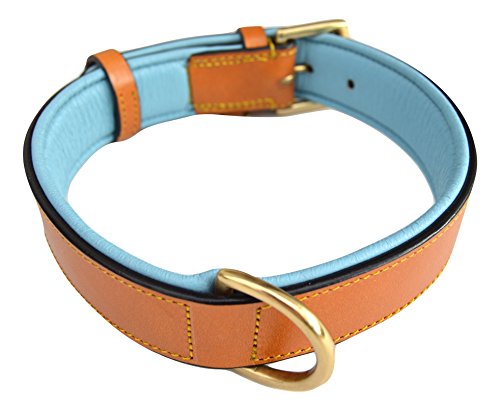 Soft Touch Collars Leather Padded Dog Collar, Large Tan With Teal Padding , Real Genuine Leather , 24" Long X 1.5" Wide , Neck Size 18" To 21" #TOP1