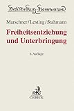 Freiheitsentziehung und Unterbringung: Materielles Recht und Verfahrensrecht (Beck'sche Kurz-Kommentare)
