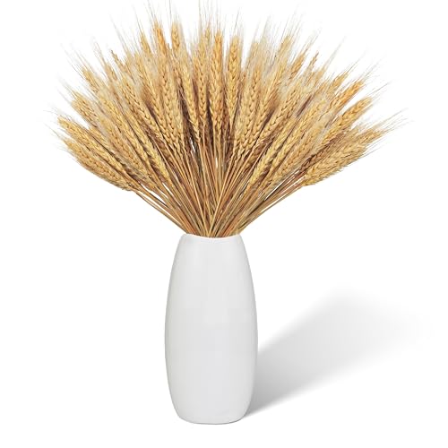 100 peças de trigo seco flores secas cereais cereais de cultivo flores secas 43 cm trigo seco avelã natural de erva de trigo decorações