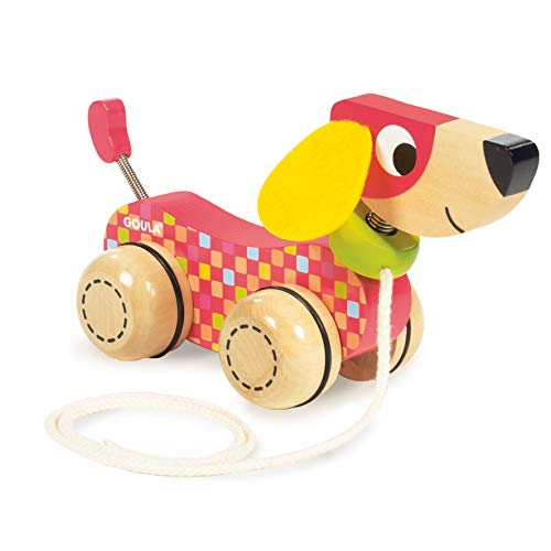 Diset- Goula Cane Trainabile, Multicolore, 53459