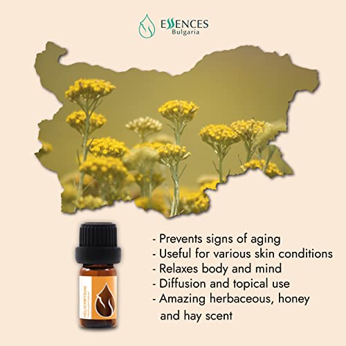 Essences Bulgaria Organic Helichrysum Essential Oil 1/6 Fl Oz | 5Ml | Helichrysum Italicum | 100% Pure And Natural | Undiluted | Therapeutic Grade | Family Owned Farm | Steam-Distilled | Non-Gmo #TOP2