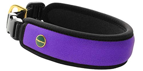 Niggeloh Hundehalsung Fashion, Lila, Größe S Collar para Perro, Unisex, Morado, unitario Cover