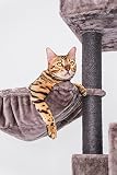 Petrebels Cleopatra 134 drapak dla wielu kotów, stabilny drapak dla kota z hamakiem, jaskinia dla kota i powierzchnia do leżenia, 134 cm, również dla kociąt i seniorów, kolor cappuccino