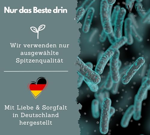 EXVital Flora+ Kulturen Komplex mit 500 Mrd. KBE/g - 22 Bakterienkulturen mit Akazienfaser - Effektive Darmbakterien u.a. Lactobacillus Salivarius & Bifidobakterien, 120 vegane Kapseln – Bild 6
