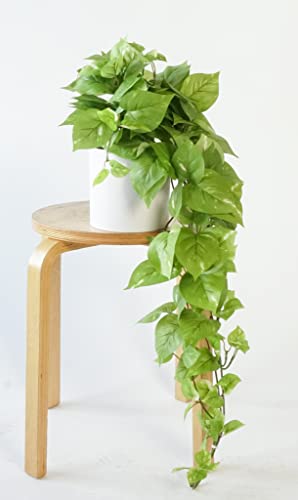 Retrograde 32” Fake Pothos Plant Realistic Silk Plants For Home Decor Indoor With Removable Pot Faux Pothos Desk Plants For Office Plant Decor For Bedroom Artificial Plants For Home Decor Indoor (1Pc) #TOP2