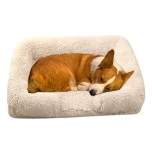 RUYICZB Panier pour Chien Orthopedique, Canapé pour Chiot De Grande Moyenne Et Petite Taille en Mousse Alvéolée avec Housse Amovible Lavable, Lit Velours Antidérapant,Beige,S 17.7X15.7X6.7in