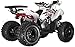 Coleman Powersports AT125Y 120cc Gas Powered Youth ATV, Hydraulic Disc Brakes, Independent Suspension, 175 lbs Maximum Load, Heavy-Duty Off-Road Utility Vehicle
