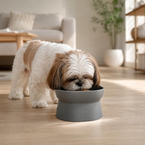 Image of Kipenzi Elevated Pet Bowl for Cats & Small Dogs | Food Grade Feeding Bowl | Raised Ergonomic Design | Stable & Easy to Clean | Modern Food & Water Bowl | Grey (Pack of 2)