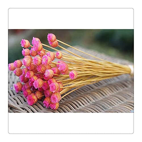 50 flores secas naturales para decoración con ramo DIY miniatura 1