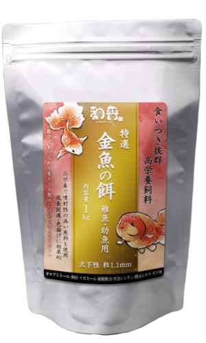 a Ia  500g Mы x^ vR t c  Fg h{