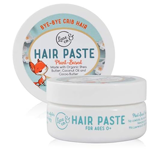 LANE & CO. Hair Paste - Plant-Based Styling Gel for Babies, Toddlers, Kids - Natural, Organic Formula with Shea & Cocoa Butter, Coconut Oil - Safe & Non-Sticky - Tame Bed Head & Flyaway Hair - Made In USA - 2oz/56g