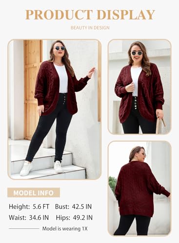 Image of Eytino Womens Plus Size Crochet Cardigan Sweater Long Sleeve Hollow Out Open Front Cardigans Outwear(1X-5X)