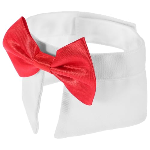 Alasum ybgplN^C ߉\Ȍp Lp yʑpANZT[ Ղ a UV[