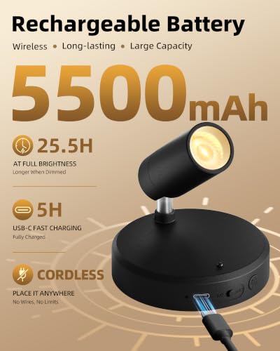 EZVALO Indoor Spotlights, Picture Lights for Wall, Plant Uplights