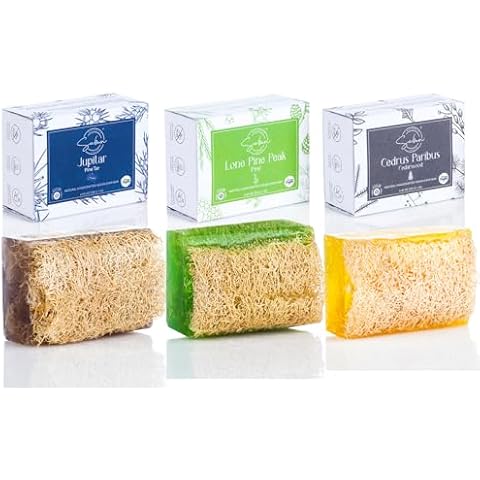 SABUN CO. [3 Pack] Pine Tar, Charcoal, Pine Oil Loofah Soap Bars - Natural Exfoliating Bars, Nourishing, Hydrating, Moisturizing Handmade Soap For Face and Body [4.4 oz - 125 gr x 3] Cover