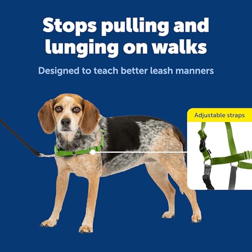 PetSafe Easy Walk No-Pull Dog Harness - Ultimate Harness to Help Stop Pulling - Pull-Free Walks - Take Control & Teach Better Leash Manners - Patented Martingale Loop Design - Green, Small/Medium by PetSafe - Image 3