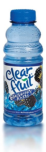 12 Pack Clear Fruit Water 20 Ounce Bottles Non Carbonated Water Beverage (Blackberry)