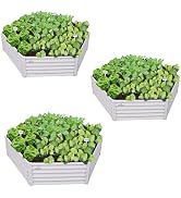 A ANLEOLIFE 3 Set Hexagon Galvanized Raised Garden Beds Outdoor,70x60x18in Metal Planter Box for ...