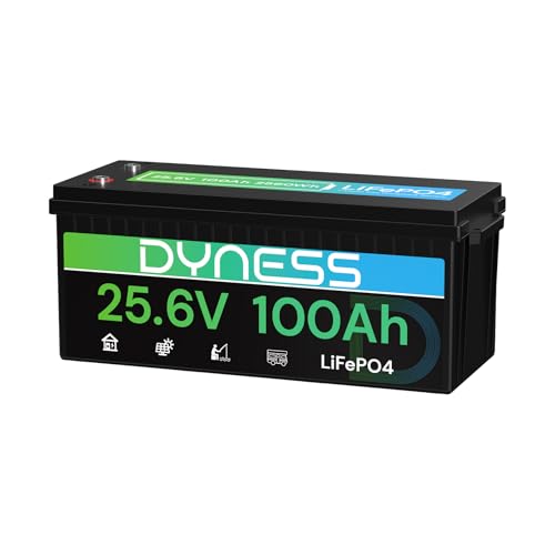 Dyness 24V 100Ah LiFePO4 Lithium Batterie mit Integriertem 100A BMS ideal für 24V Trolling-Motoren(Bassboote) Wohnmobile und netzunabhängige Anwendungen