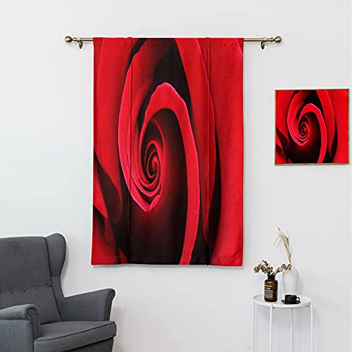 Gugeabc Farmhouse Curtains For Living Room, Rose Balloon Shades Window Extreme Close Up Of Red Bloom Swirled Spiral Petals Beauty In Nature Theme, 42Inch Wide By 45Inch Long, Black Multi 18 W X L #TOP2