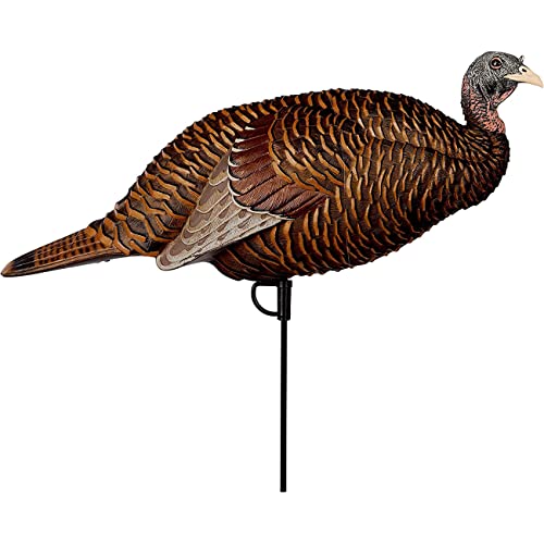Best decoy setup for spring turkey Our Favorite of 2022 licorize