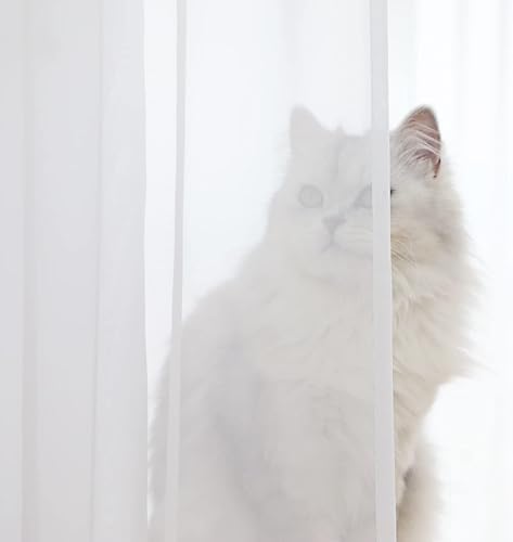 Miniatura 2 de LONGTAI Cortinas traslúcidas para ventanas de 84 in de largo, 2 paneles de cortinas traslúcidas, panel de bolsillo para barra de cortina básico para