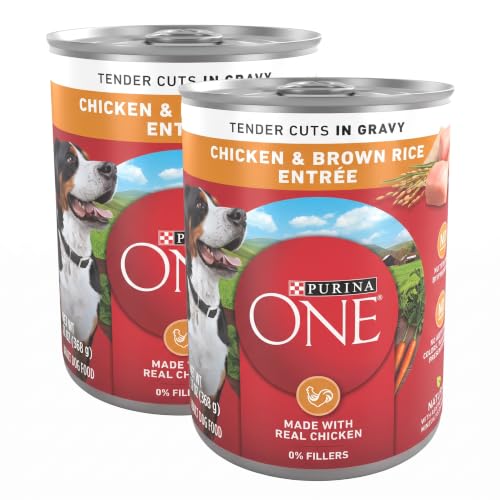 Purina ONE Natural High Protein Dog Food, Tender Cuts in Gravy Chicken and Brown Rice Entrée - 13 Ounce (Pack of 24) - image 1