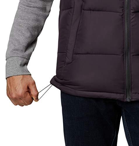 Image of Columbia Mens Pike Lake Vest