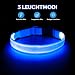 Illumifun Leuchthalsband Hund Aufladbar LED Hundehalsband Wasserdichtes Leuchthalsband für kleine und große Hunde, Hundelichter für nächtliche Spaziergänge (Blau, M)