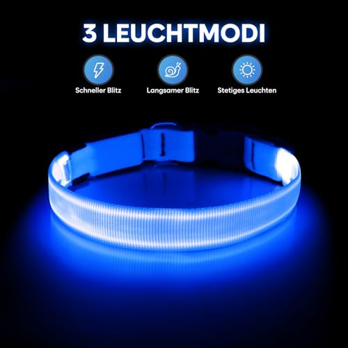 Illumifun Leuchthalsband Hund Aufladbar LED Hundehalsband Wasserdichtes Leuchthalsband für kleine und große Hunde, Hundelichter für nächtliche Spaziergänge (Blau, M)