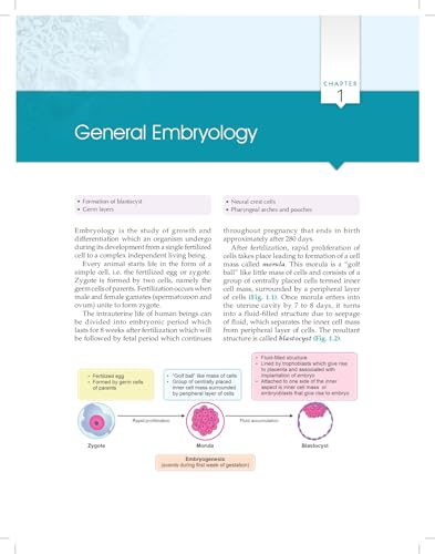 Image of Essentials of Oral Biology 3ed. (PB 2026)