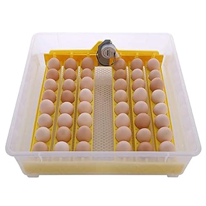 TM&W-(HHD) | Eggs Incubator for Hatching 48 Egg Incubator Eggs, Mini Egg Brooder Hatcher for Chickens Pheasant Quail and Birds, Incubator with Digital Temperature Control, Fan