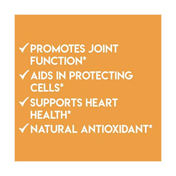 Angry-Supplements-Ultra-Pure-Turmeric-Curcumin-with-BioPerine-Black-Pepper-Extract-95-Curcuminoids-All-Natural-Powerful-Antioxidant-Non-GMO-Joint-Support-Heart-Heath-Relief-1-Pack Angry Supplements Ultra Pure Turmeric Curcumin with BioPerine, Black Pepper Extract, 95% Curcuminoids, All Natural…