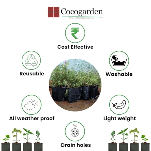 Image of cocogarden Plastic UV Protected Poly Grow Bag for Seedling Nursery Cover Plant Bags (Black, 4 x 6 inch) - Pack of 10 | for Terrace and Balcony Gardening, Kitchen Vegetable and Flowering Plants