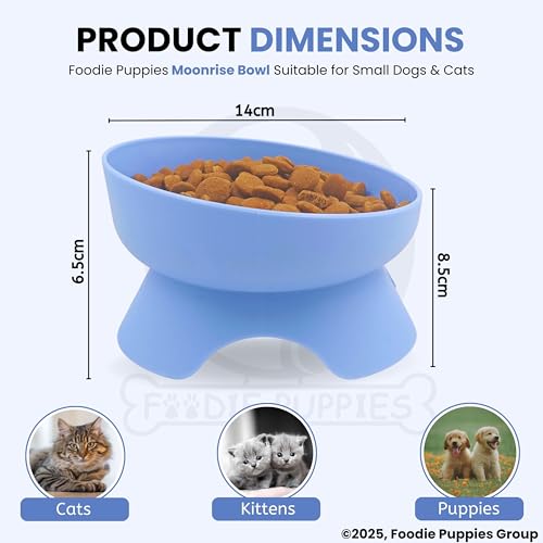 Image of Foodie Puppies Cat Food and Water Raised Feeder - 300ml (Moonrise Bowl) | Durable, Anti Vomiting, Healthy Cat Bowl for Persian Cats Prevent Tipping Over | Elevated Feeder for Cats and Small Dogs