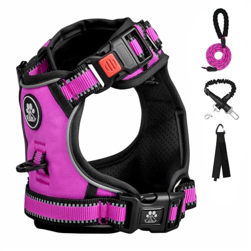 FURRYFECTION Dog Harness | No Pull Dog Harness | Reflective Oxford | Padded Handle | 4 Adjustable Straps | 2 Leash Clips | No Choke Pet Vest Harness for Small Medium Large Dogs | Rose | L