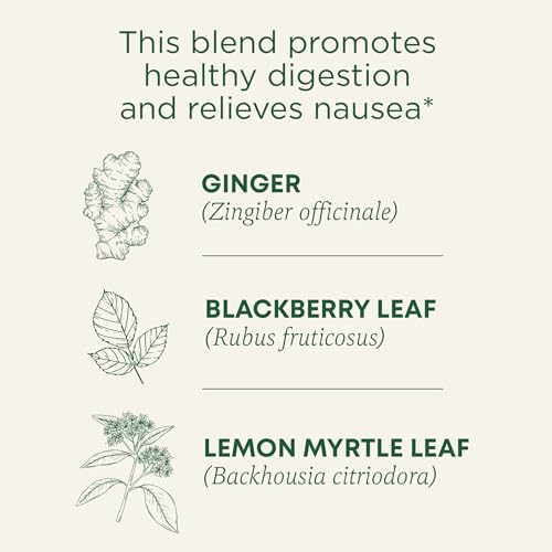 Traditional Medicinals Tea, Organic Ginger Aid, Promotes Healthy Digestion, 16 Tea Bags