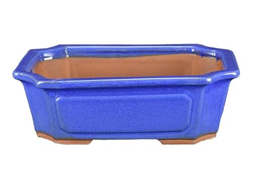 Vaso Per Bonsai Rettangolare In Gres Smaltato Blu 27X20X8 Cm - Ga9