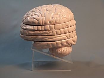 最終価格] 脳MRI 3冊セット Amazon | 玄人志向 内蔵SATA III