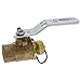 NIBCO T585-80-LF-HC 3/4 with 3/4 Hose Cap Chain