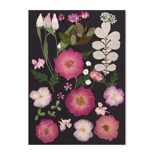 VRԃhCt[tZbgXNbvubLOpWG[쐬tHgt[dbP[X葕Ƃ̑