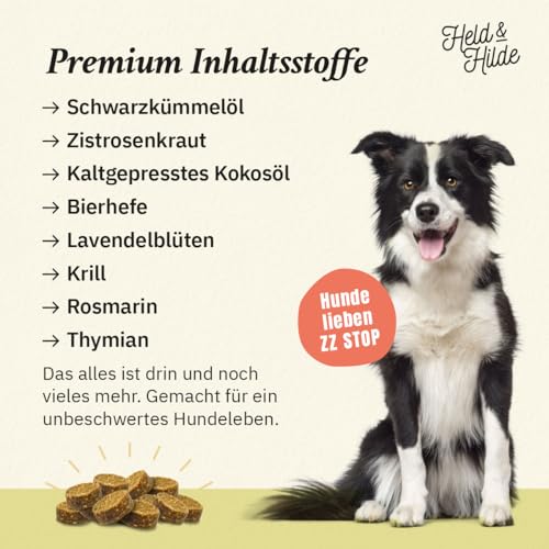 Hundesnacks zur Unterstützung der Abwehrkräfte in der Natur, Schwarzkümmelöl Kokosöl Bierhefe Zistrosenkraut Insektenprotein, nachhaltig ohne künstliche Zusätze Made in Germany, 330g
